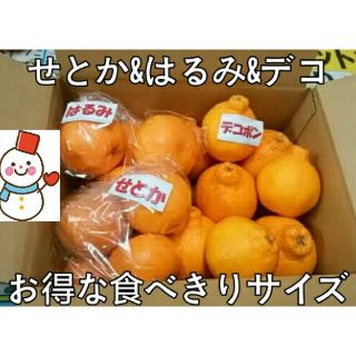 お得便❗食べきりセット❤せとか&デコちゃん&はるみ❤雪だるま(フルーツ)