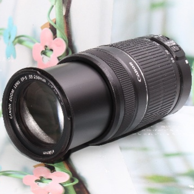 ❤️嬉しい手振れ補正付き超望遠❤️キャノン 55-250mm IS Ⅱ❤️-