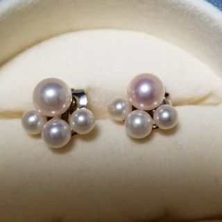 【現行品】MIKIMOTO パールピアス k18 5.5mm