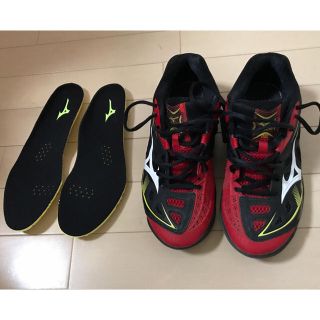 ミズノ(MIZUNO)のWAVE FANG RX 26.0cm(バドミントン)