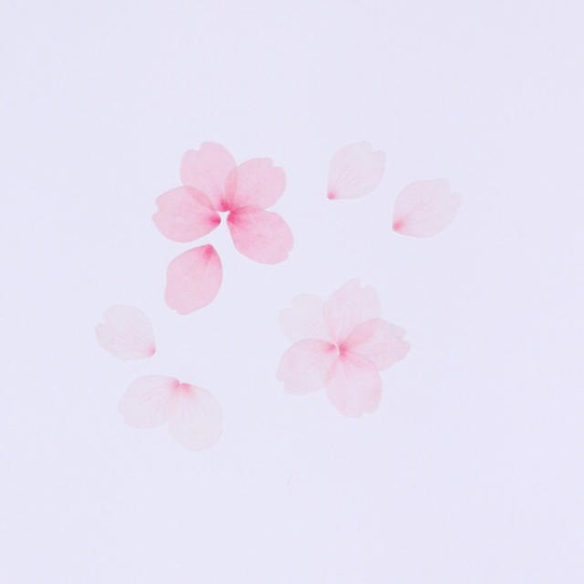 Bande マスキングテープ 桜の花びら 3つの通販 By 翼 S Shop ラクマ