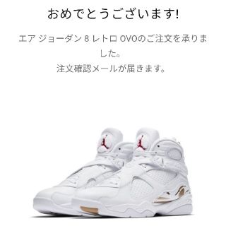 NIKE AIRJORDAN8  ovo  27cm(スニーカー)