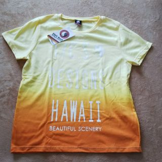 タウンアンドカントリー(Town & Country)の新品タグ付き 半袖 Tシャツ T&C surf(Tシャツ(半袖/袖なし))