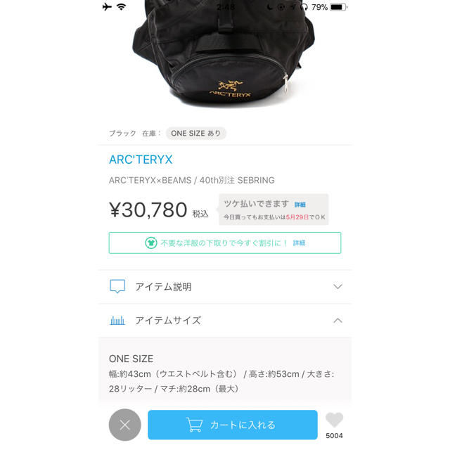 BEAMS(ビームス)のARC’TERYX×BEAMS / 40th別注 Sebring メンズのバッグ(バッグパック/リュック)の商品写真