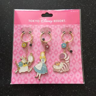 ディズニー(Disney)のお値下げ！TDR購入 白ウサ🌸アリス🌸チシャ猫 3点セット キーホルダー(キーホルダー)