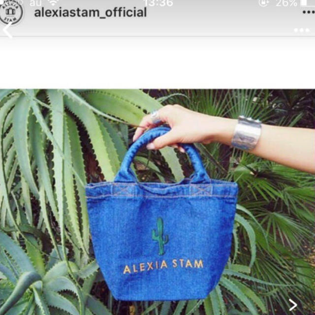 ALEXIA STAM(アリシアスタン)のALEXIASTAM サボテントートバッグ レディースのバッグ(トートバッグ)の商品写真