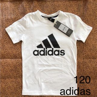 アディダス(adidas)の新品adidasTシャツ(Tシャツ/カットソー)