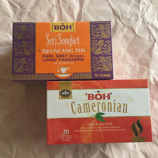 ボー(BOH)のBOH Tea ２種セット(茶)