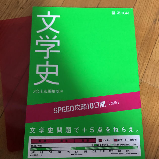 大学受験 国語 文学史 エンタメ/ホビーの本(語学/参考書)の商品写真