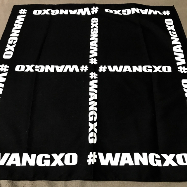 Alexander Wang(アレキサンダーワン)の入手困難 ALEXANDER WANG バンダナ メンズのメンズ その他(その他)の商品写真