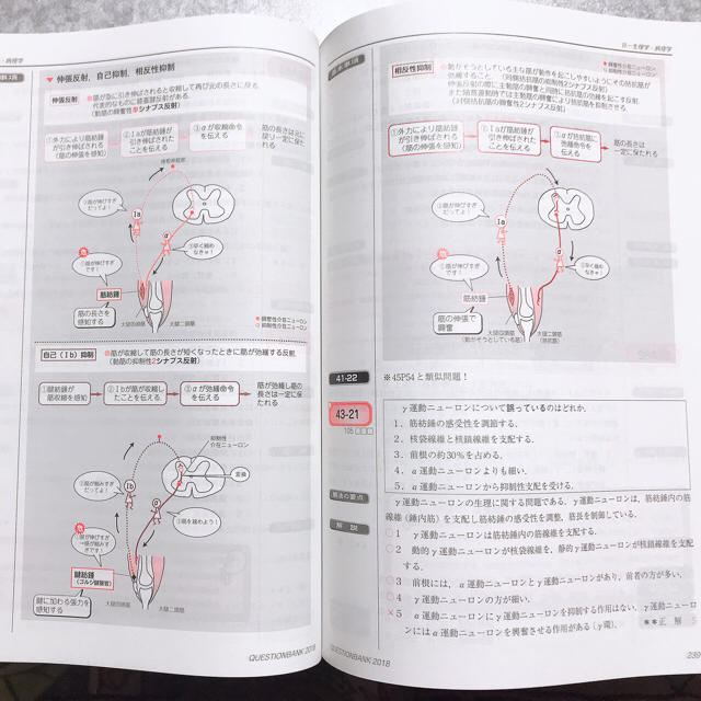 理学療法士 作業療法士 Qb 18 過去問題集 16 の通販 By あい S Shop ラクマ