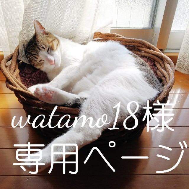 watamo18様専用ページ その他のその他(その他)の商品写真