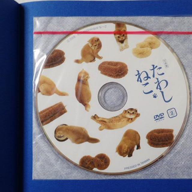 【たわし猫】DVD付き写真集　講談社 エンタメ/ホビーの本(その他)の商品写真