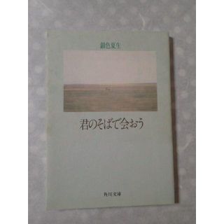 【銀色夏生】君のそばで会おう　詩集・文庫本★紙で本を読みたい方へ★(文学/小説)