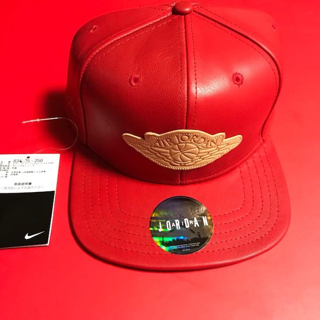 NIKE JORDAN JUST DON 付属 CAP