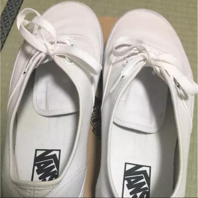 VANS(ヴァンズ)のVANS メンズの靴/シューズ(スニーカー)の商品写真