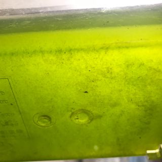 清雅様確認用(その他)