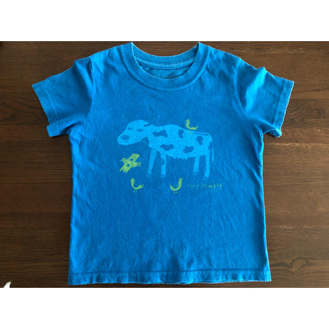 patagonia(パタゴニア)のパタゴニアTシャツ（3T) キッズ/ベビー/マタニティのキッズ服男の子用(90cm~)(Tシャツ/カットソー)の商品写真