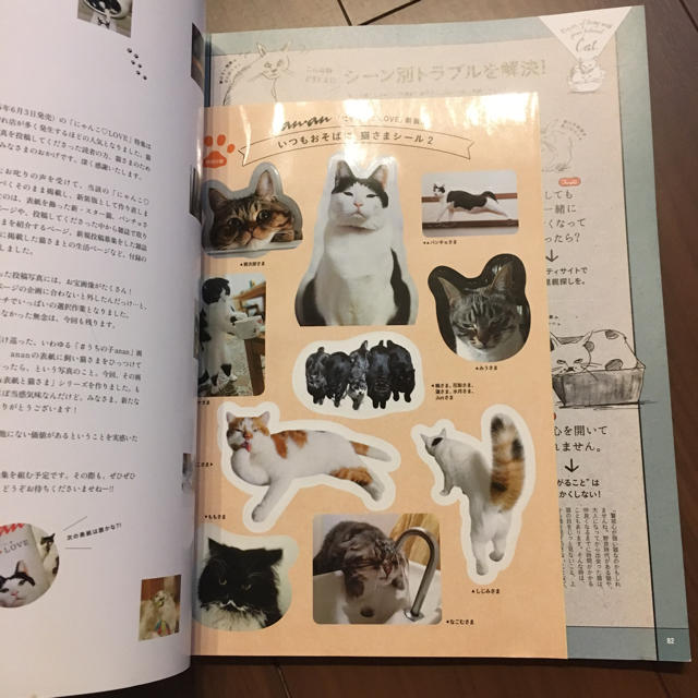 anan☆にゃんこLOVE新装版 シール付き エンタメ/ホビーの雑誌(アート/エンタメ/ホビー)の商品写真