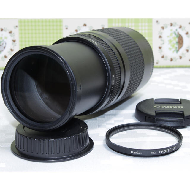 上等な Canon - ド迫力望遠レンズ❤️ Canon EF75–300㎜ ❤️スポーツ観戦 レンズ(ズーム)