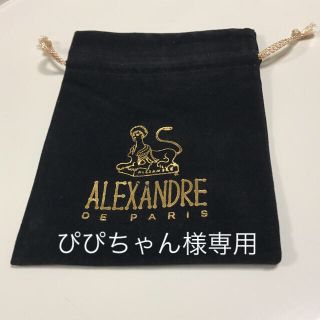 アレクサンドルドゥパリ(Alexandre de Paris)のALEXANDRE DE PARIS アレクサンドルドゥパリ 保存袋(ショップ袋)