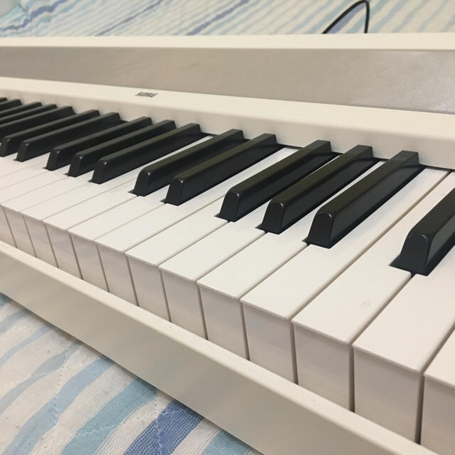大流行中! KORG 電子ピアノ B1 WH 88鍵 ホワイト eurocursions.com