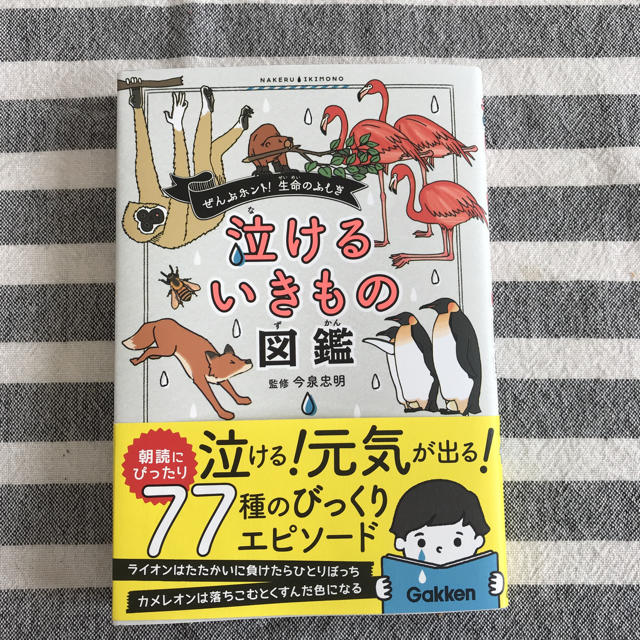 学研(ガッケン)の泣けるいきもの図鑑♡新品 エンタメ/ホビーの本(絵本/児童書)の商品写真