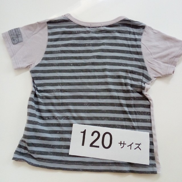 BeBe(ベベ)のBEBE [ベベ]　Ｔシャツ　１２０ キッズ/ベビー/マタニティのキッズ服男の子用(90cm~)(Tシャツ/カットソー)の商品写真