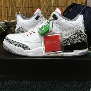 ナイキ(NIKE)の日本未販売 新品 27.5cm jordan 3 retro jth nrg(スニーカー)