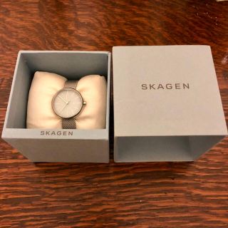 スカーゲン(SKAGEN)のSKAGEN  Slim Steel Mesh Watch 新品未使用(腕時計)