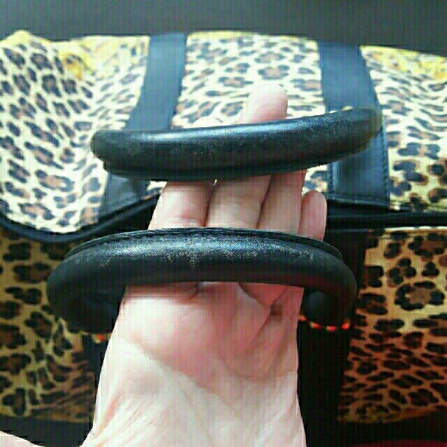 いただけて VERSACE ボストンバック最終値下げしました。の通販 by