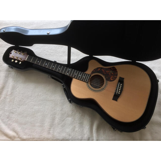 超特価sale開催】 期間限定値下げ model fix Michael EBG808c Maton