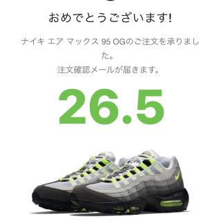 ナイキ(NIKE)のair max95(スニーカー)