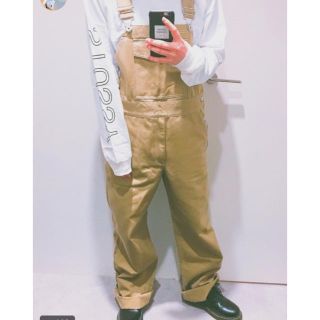 ステューシー(STUSSY)のstussy women(サロペット/オーバーオール)