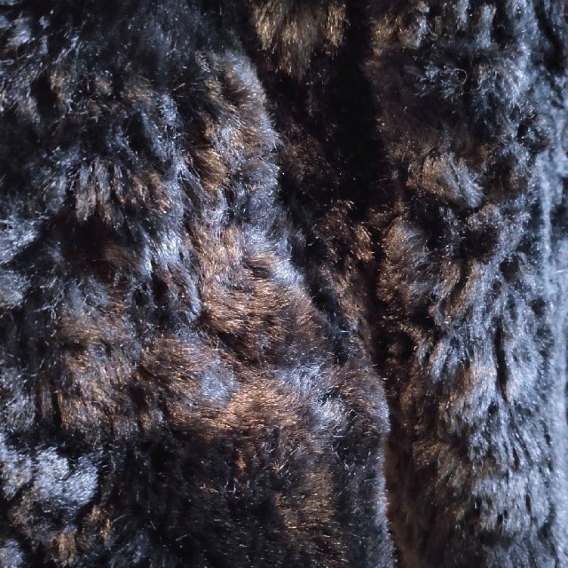 MURUA(ムルーア)のMURUA ブラックファーコート レディースのジャケット/アウター(毛皮/ファーコート)の商品写真