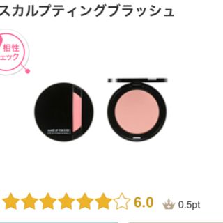 メイクアップフォーエバー(MAKE UP FOR EVER)の最終値下げ！メイクアップフォーエバー スカルプディングブラッシュ(チーク)