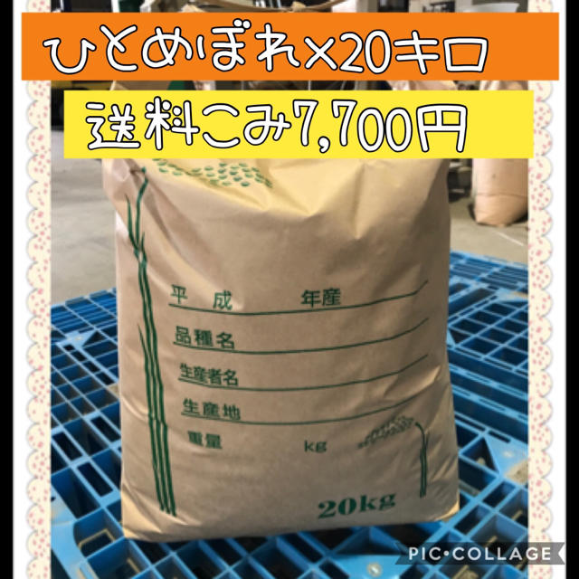 チャッピー様専用☆宮城県産ひとめぼれ20キロ 食品/飲料/酒の食品(米/穀物)の商品写真