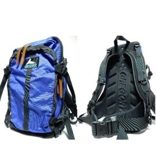 青タグ ヴィンテージ レア グレゴリー GREGORYバックパック旧