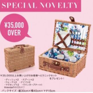 リエンダ(rienda)のrienda   ピクニックセット(食器)