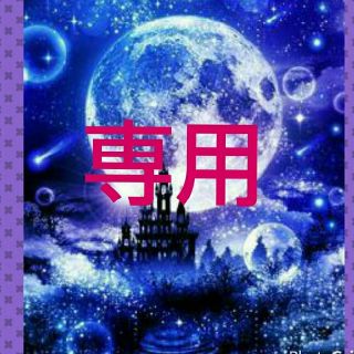 リピーターまりあんず様専用✨Big luck特大の幸運～ご希望願望～(その他)