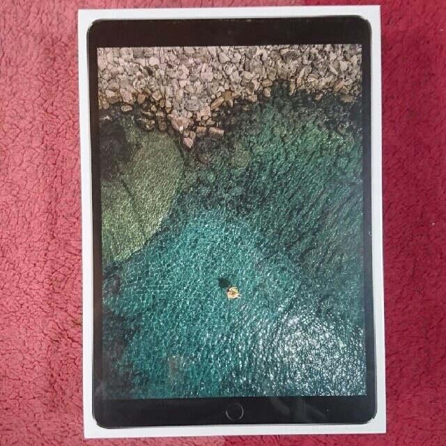 上品】 Apple - iPad Pro 10.5 Wi-Fi 256GB MPDY2J/A タブレット