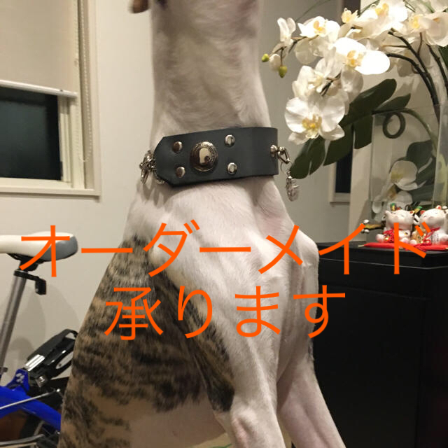 オーダーメイド本革ハーフチョークカラー 中型犬〜大型犬用 | フリマアプリ ラクマ