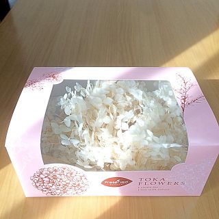 プリザ 紫陽花  白 値下げです！(プリザーブドフラワー)