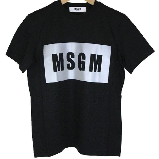 MSGM(エムエスジイエム)の
MSGM シルバーボックスロゴTシャツ レディースのトップス(Tシャツ(半袖/袖なし))の商品写真