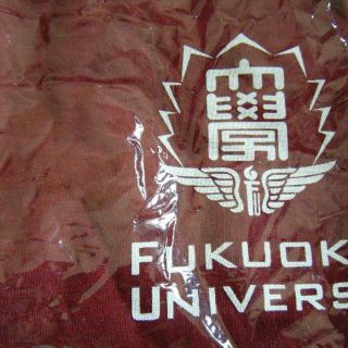 福岡大学Tシャツ　サイズM　最終品(Tシャツ(半袖/袖なし))