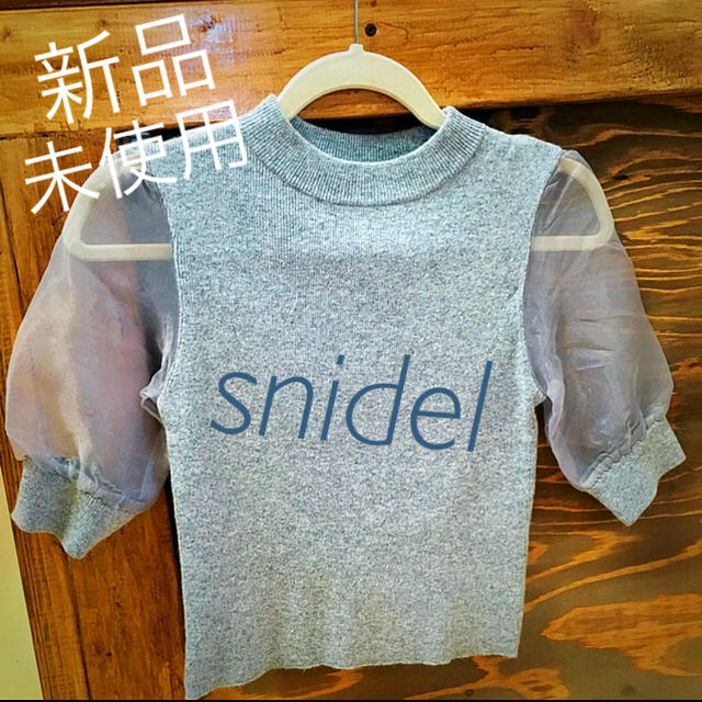 SNIDEL(スナイデル)のsnidel シースルー 半袖ニット レディースのトップス(カットソー(半袖/袖なし))の商品写真