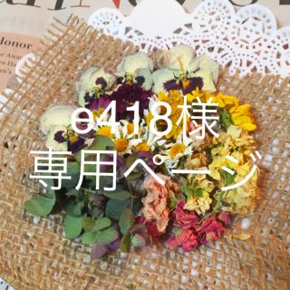 春の花ヘッドドライフラワー(ドライフラワー)