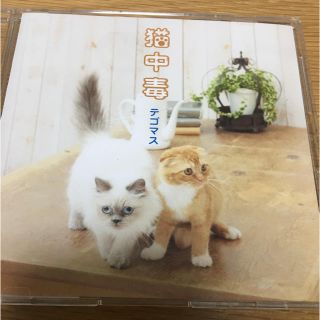 テゴマス(テゴマス)のテゴマス CD(アイドルグッズ)