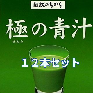 サントリー(サントリー)のサントリー極みの青汁１２本セット(青汁/ケール加工食品)