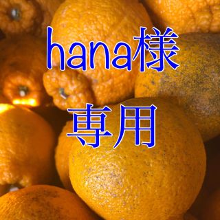 hana様 専用 不知火20kg (フルーツ)